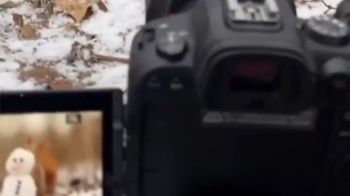 “You really can’t come across it unless you’ve got a bit of a photography-and-art streak.”