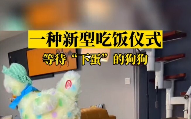 Chó: Một nghi thức ăn uống kiểu mới