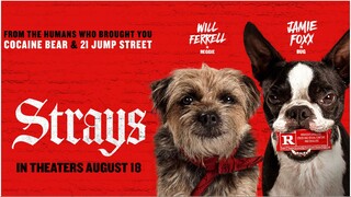 Strays 2023  Watch full Movie - Link in Description