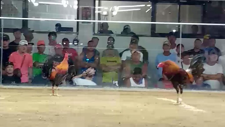 JEMZ @saragoza firstfyyt(w)