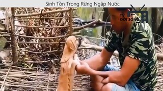 Sinh tồn trong rừng ngập nước p8