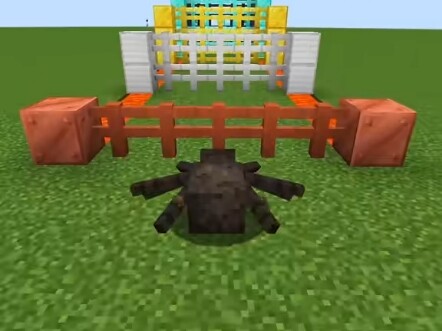 Minecraft: What did you understand from this video!?