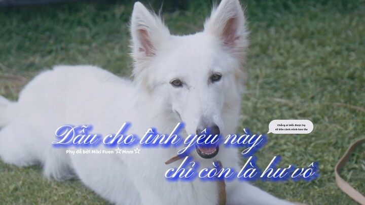 [Vietsub] Subete no koi ga owaru toshitemo - Chẳng ai biết được họ sẽ bên cạnh mình bao lâu