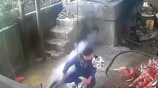 tạp 10