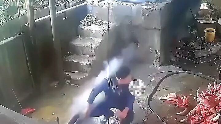 tạp 10