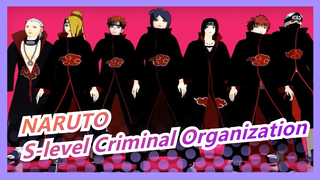 [NARUTO] S-level Criminal Organization - Macaron