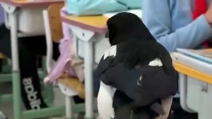 A little bird suddenly landed on the female student’s desk and snatched her pen!