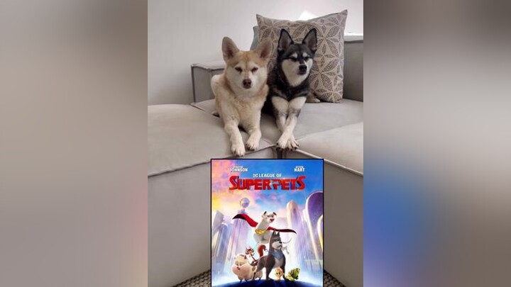 ad ad We can't wait for DC League of Super Pets to come out in cinemas July 29th! It’s going to be 