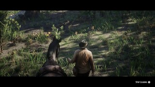 RED DEAD REDEMPTION CINEMATIC AMBIENT MUSIC