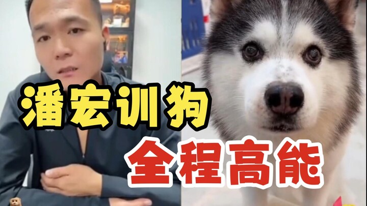 بان هونغ شون يعاقب الكلب، طاقة عالية طوال الوقت.