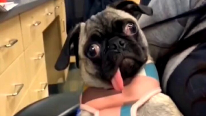 “Mention the person who looks most like it”