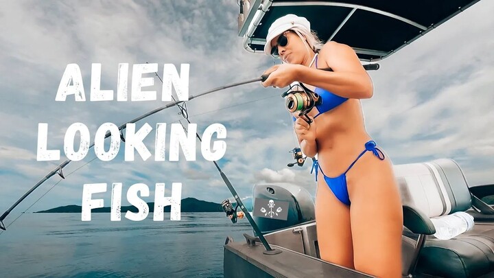 Theo Amy ra biển câu cá.