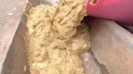 Thực trạng căng-tin trường học 2