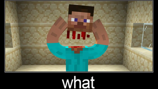 Minecraft รออะไร meme part 222 (Mad Steve)