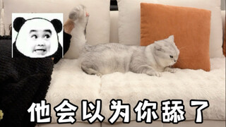 I heard blowing on a cat's butt can strengthen your bond?