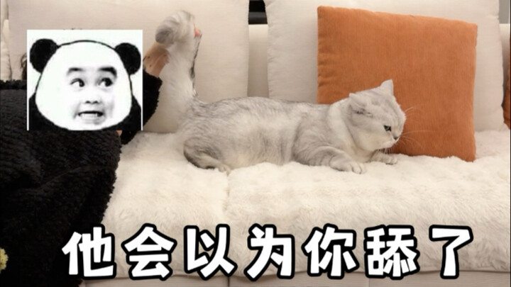 听说对着猫屁股吹一下能增进感情？