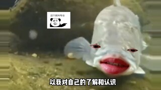 أنا واقفًا أمامك، هل تعتقد أني أبدو كما كنت من قبل؟