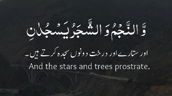سورۃ الرحمٰن کی یہ تلاوت دل کو چھو جائے گی 🤍🌙 | الشَّمْسُ وَالْقَمَرُ | قرآن کی خوبصورت تلاوت #Sho