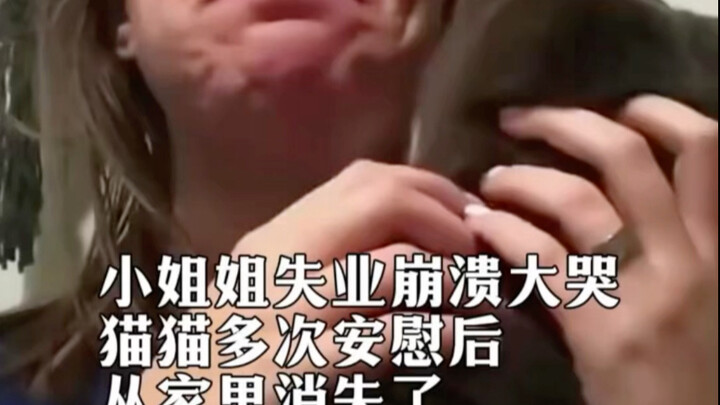 ما أحضرته القطة ليس طعامًا، بل قلبًا حارًّا وصادقًا.