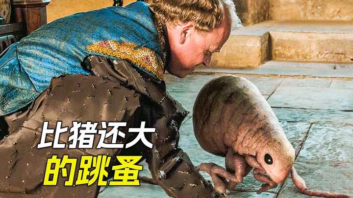 Kutu jauh lebih besar daripada anak sapi