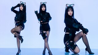 长官！竖屏《NO.9》带到！还有何吩咐~