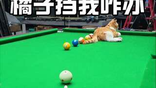 What should I do if the orange won’t let me finish hitting it?