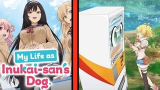 Why does Isekai Anime become weirder and weirder?