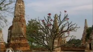 3D Planet: สารคดีท่องเที่ยว 3 มิติ ชุด Thailand