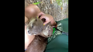 น้ารักเกินปุยมุ้ยยยย