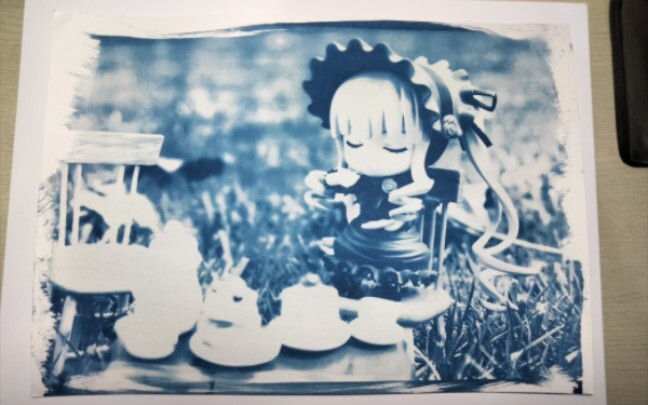 Classical cyanotype 1842~I took a photo of Xiao Honghong~