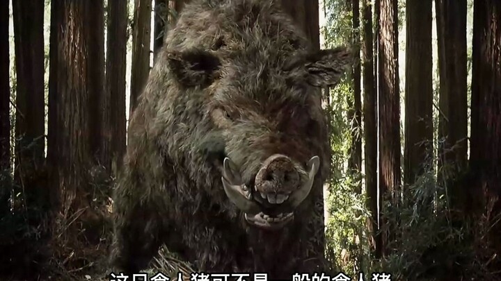After villagers burned 800 kilograms of piglets from the man-eating sow, they unexpectedly triggered