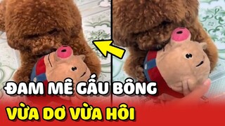 Đam mê KỲ LẠ của thanh niên Poodle và chiếc THÚ BÔNG tri kỉ 😂 | Yêu Lu