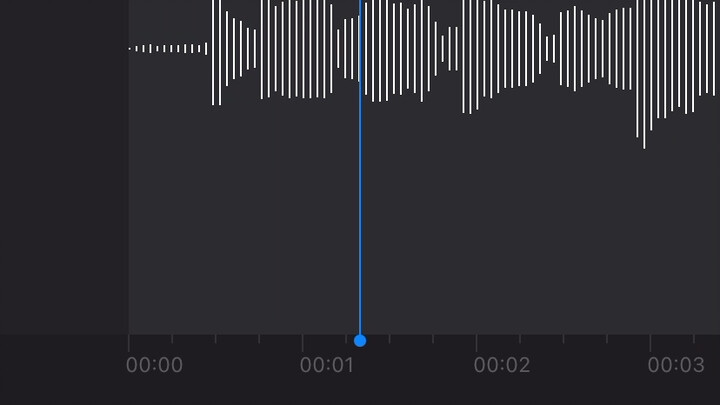 ยิ่งทำอาหารยิ่งอยากเล่น! ราตรีสวัสดิ์ 😴