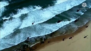 น้องรักนักร้อง