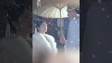 姜雪宁张遮雪下撑伞氛围感有了 | Story of Kunning Palace | 宁安如梦 | iQIYI