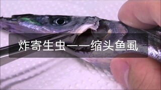 A kind of parasite—Cymothoa exigua—specifically parasitizes inside a fish's mouth, literally eating 