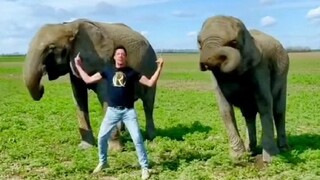 Vườn thú có một "nhân viên chăm sóc hài hước", ngày nào cũng cùng các chú voi con nô đùa nghịch ngợm