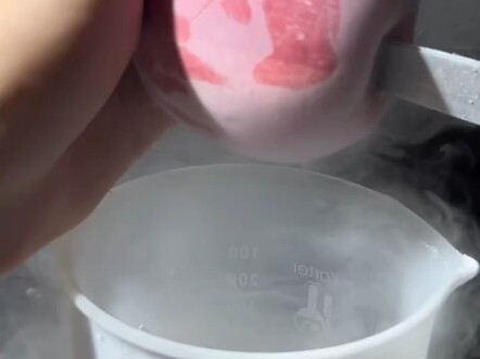 Liquid Nitrogen vs. Fruit