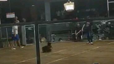 fastest kill of MacLean line