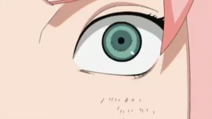 racun sasori