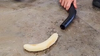 I feel uncomfortable if I don't watch it for a day! Funny video collection #178