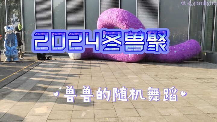 【2024冬兽聚】兽兽聚聚~下午的随机舞蹈拍摄~