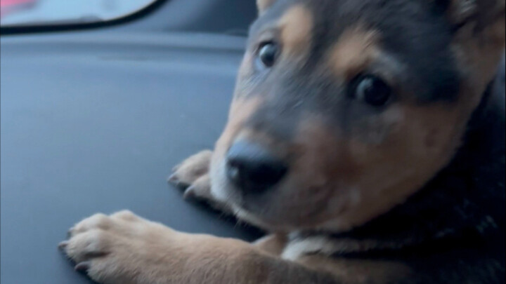 หวังว่ามันจะอยู่กับฉันไปอีกนานแสนนาน