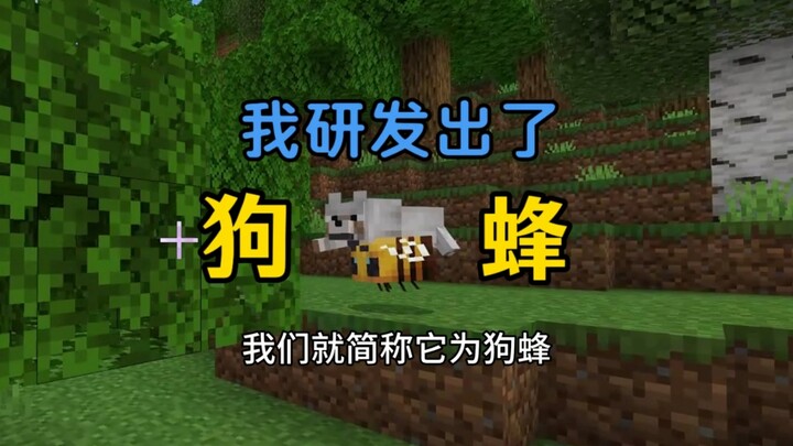 ⚡ผึ้งสุนัขลึกลับ⚡