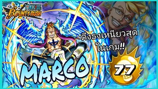 One​piece​bounty​rush​ MARCO​ สายวิ่งที่ไม่เคยตกยุค!!