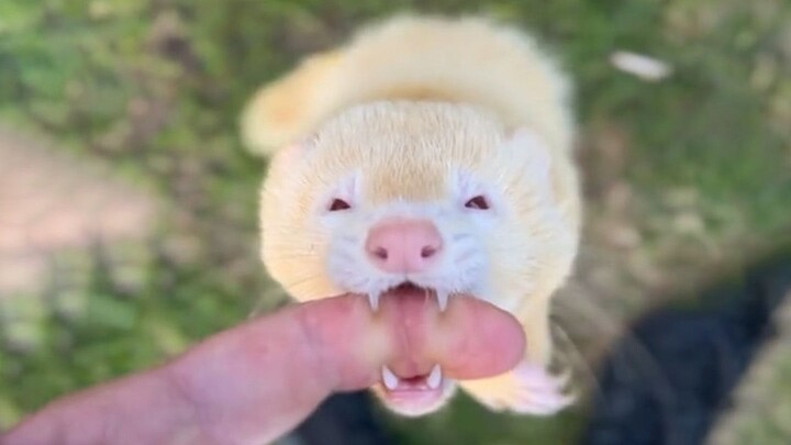 你要是被威胁了你就眨眨眼