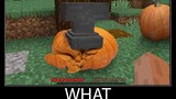 Minecraft รออะไร meme part 36 minecraft ที่เหมือนจริง ฟักทอง