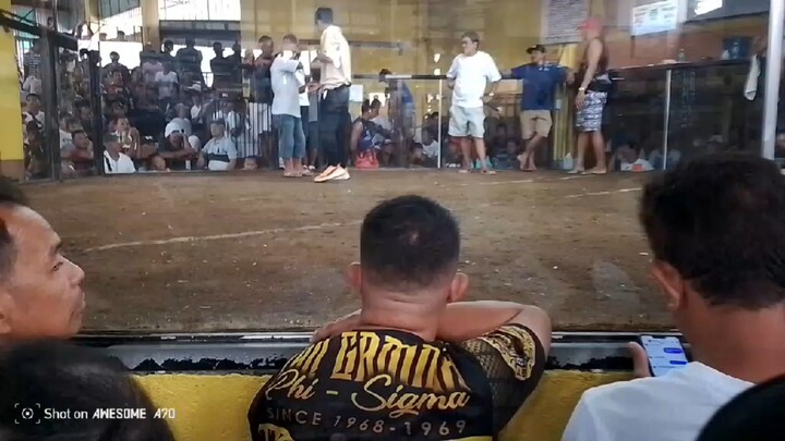 ito yong sinabihan n mahina dw manok ko bket nanalo nka chamba siniloan Cock fight arena