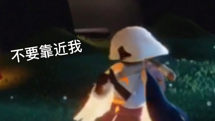 遇到了一只不怎么喜欢我脑袋的平菇