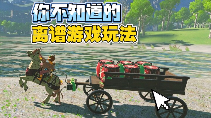[The Legend of Zelda] Watch this! This is the greatest physics engine in gaming history! Why do we s